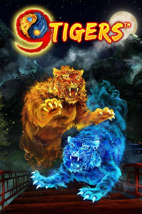 9 Tigers